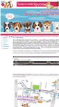 Mobile Screenshot of muangthongpet.com